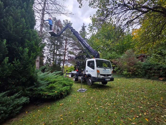 Emelőkosaras autó munkavégzés közben